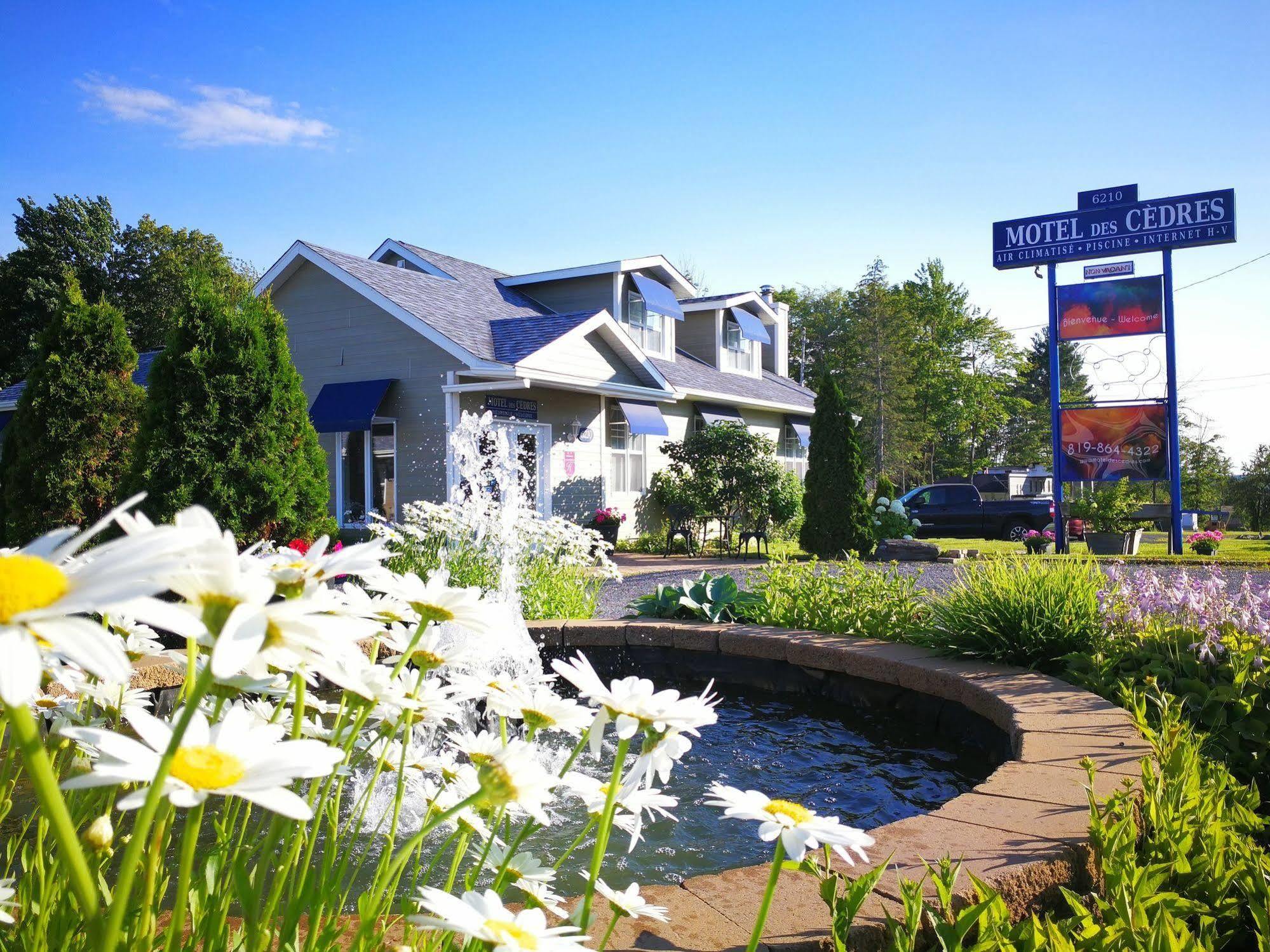 Motel Des Cedres Sherbrooke Ngoại thất bức ảnh