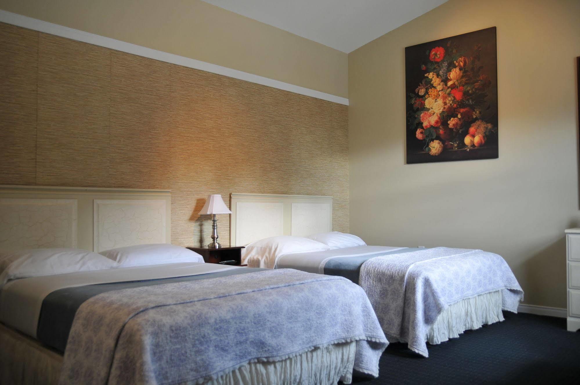 Motel Des Cedres Sherbrooke Ngoại thất bức ảnh