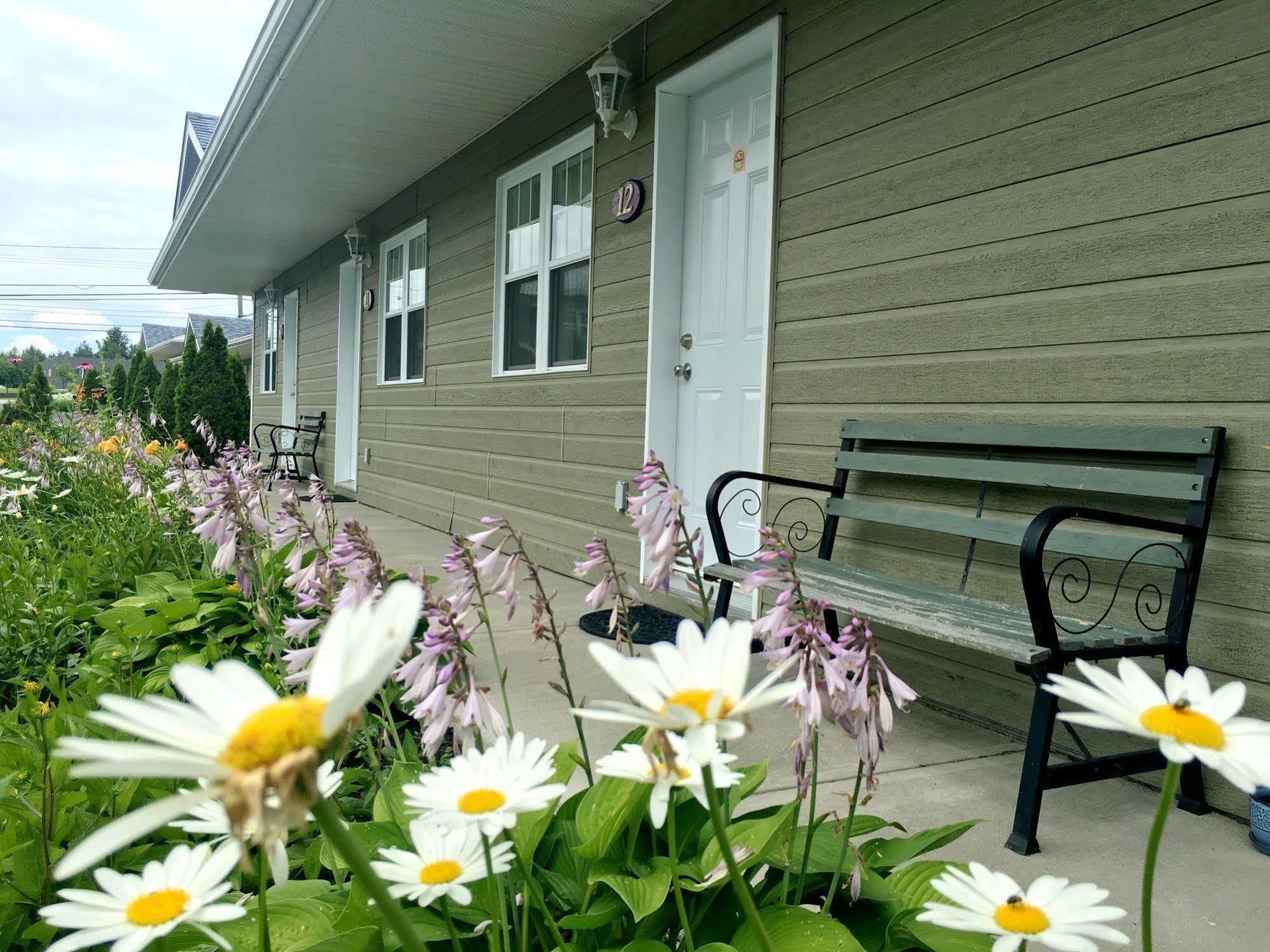 Motel Des Cedres Sherbrooke Ngoại thất bức ảnh