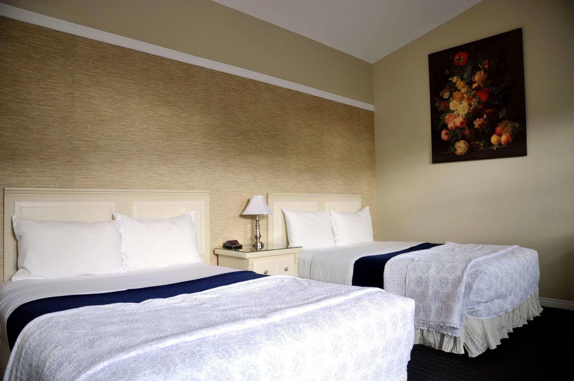 Motel Des Cedres Sherbrooke Ngoại thất bức ảnh