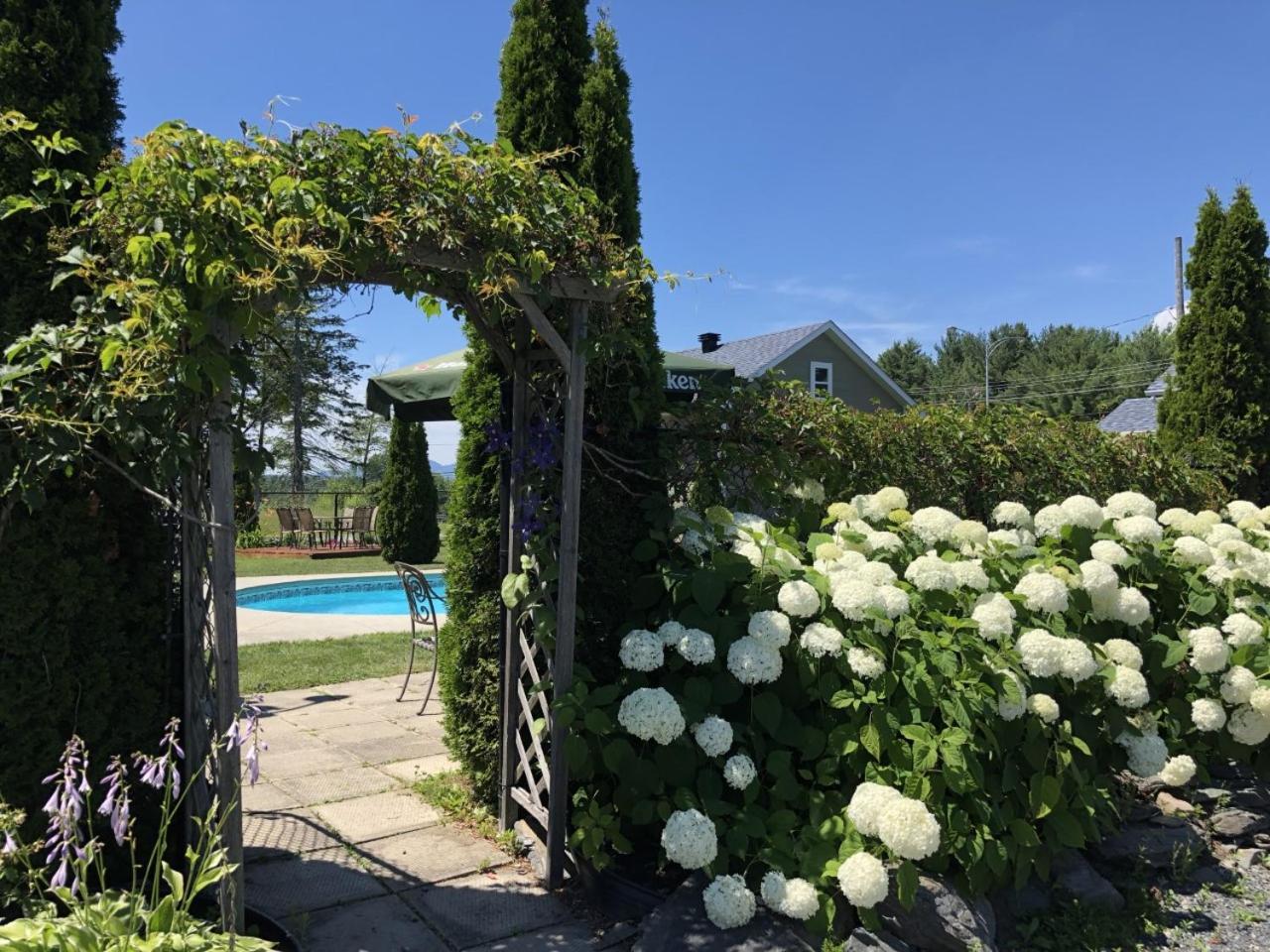 Motel Des Cedres Sherbrooke Ngoại thất bức ảnh